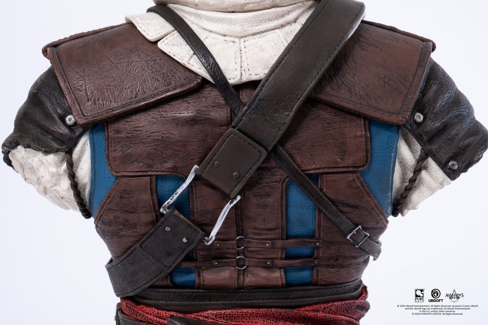 Assassin´s Creed Büste 1/4 Edward Image 13