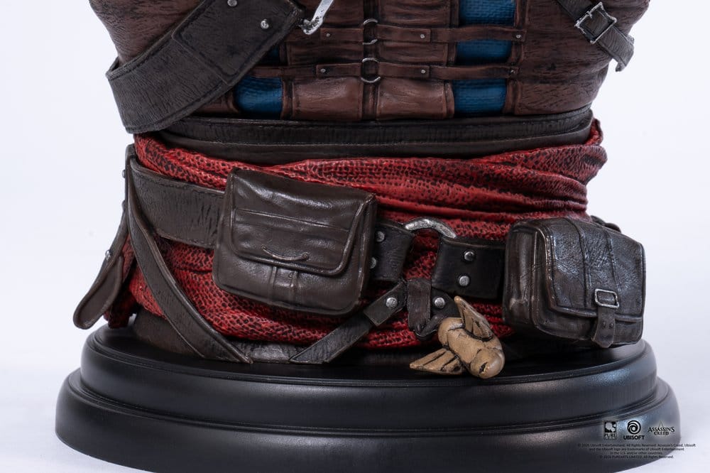 Assassin´s Creed Büste 1/4 Edward Image 14