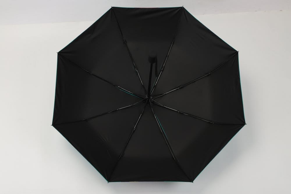 Die Tagebücher der Apothekerin Regenschirm Image 6