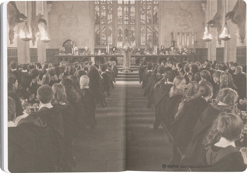 Harry Potter Softcover Notizbuch Hufflepuff 21 cm Image 6