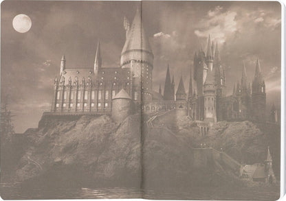 Harry Potter Softcover Notizbuch Hufflepuff 21 cm Image 8