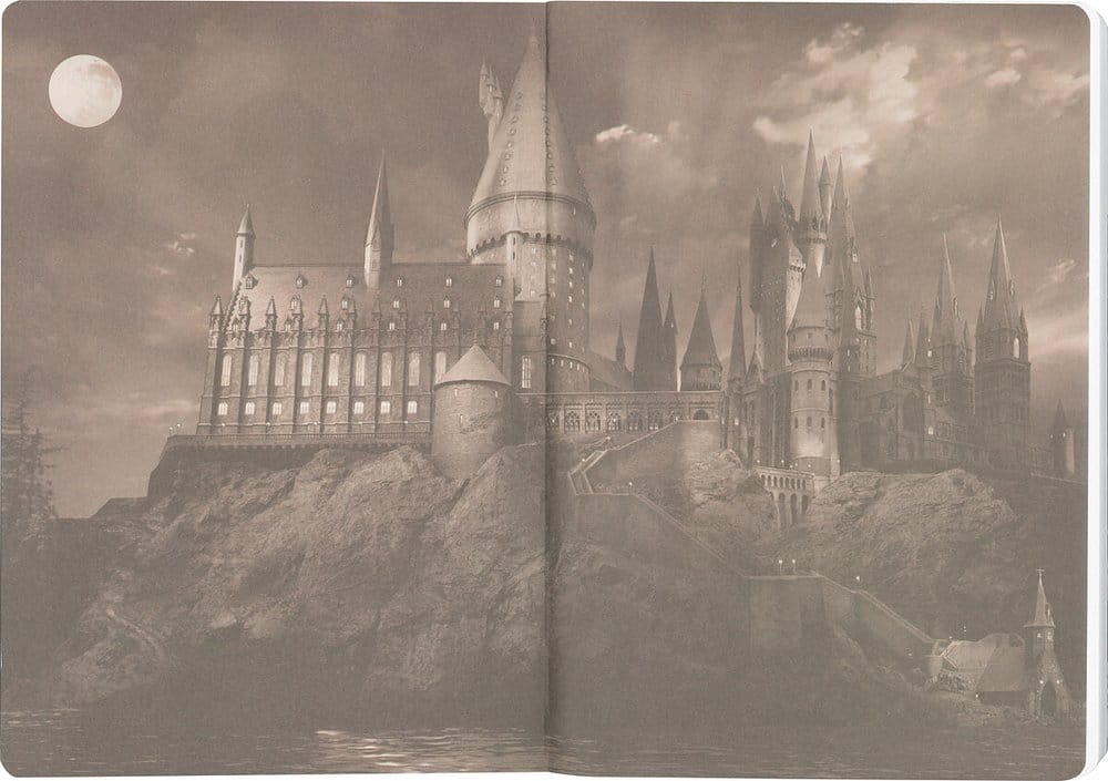 Harry Potter Softcover Notizbuch Slytherin 21 cm Image 8