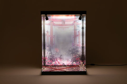 SHINSAI Acryl Display Case mit Beleuchtung Inbina Rasethuhime Saki M Edition 39 cm Image 2