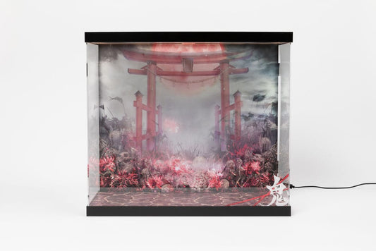 SHINSAI Acryl Display Case mit Beleuchtung Inbina Rasethuhime Saki 39 cm Image 1