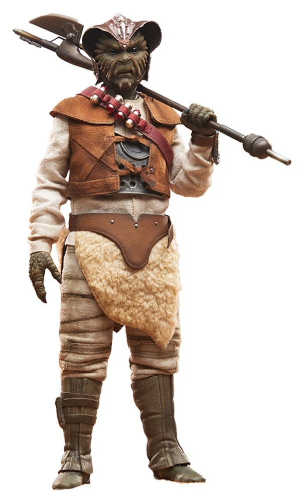 Die Rückkehr der Jedi-Ritter Actionfigur 1/6 Wooof 32 cm Image 1