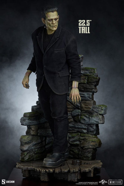 Frankenstein Premium Format Mixed Media Statue Frankenstein (Fabric Costume) 57 cm Image 9