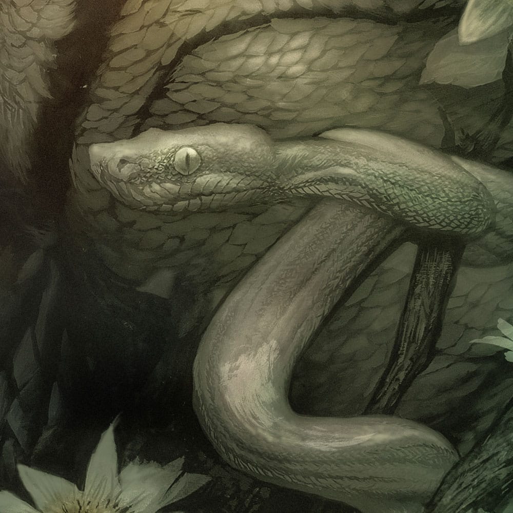 Der Schrecken vom Amazonas Kunstdruck Creature from the Black Lagoon by Dan Quintana 61 x 41 cm - ungerahmt Image 4