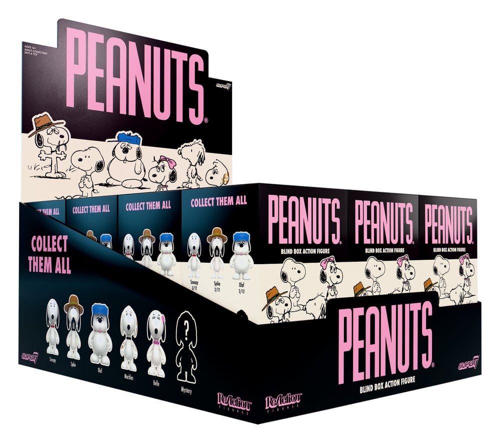 Peanuts ReAction Actionfiguren Snoopy's Siblings Wave 10 Blind Box 10 cm Display (12) Image 1