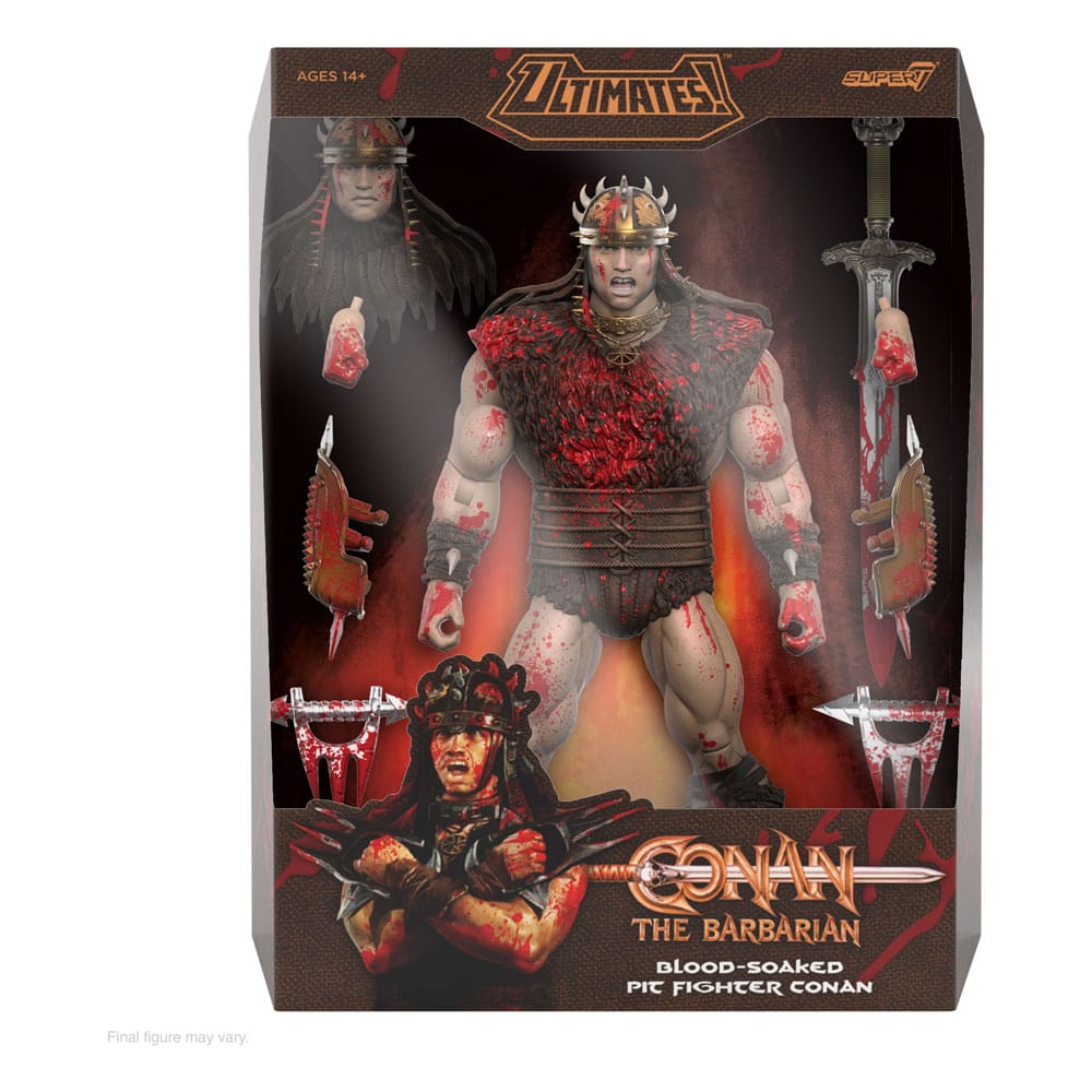 Conan der Barbar Ultimates Actionfigur Conan Blood Soaked Pit Fighter 18 cm Image 2
