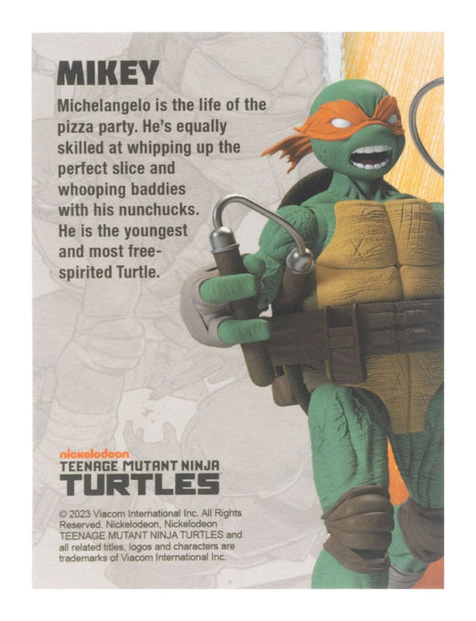 Teenage Mutant Ninja Turtles BST AXN Actionfigur Michelangelo (IDW Comics) 13 cm Image 2