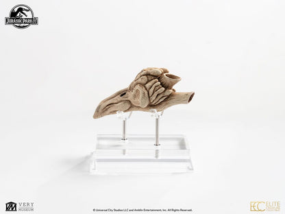 Jurassic Park III Prop Replik 1/1 Velociraptor Resonance Chamber 18 cm Image 4