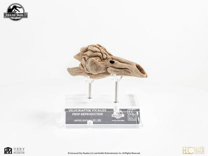 Jurassic Park III Prop Replik 1/1 Velociraptor Resonance Chamber 18 cm Image 8