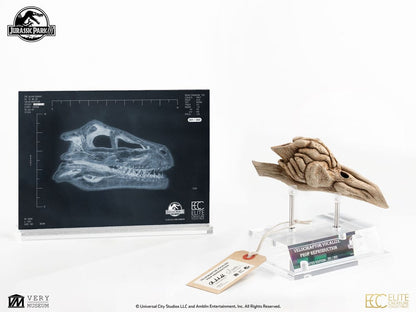 Jurassic Park III Prop Replik 1/1 Velociraptor Resonance Chamber 18 cm Image 10
