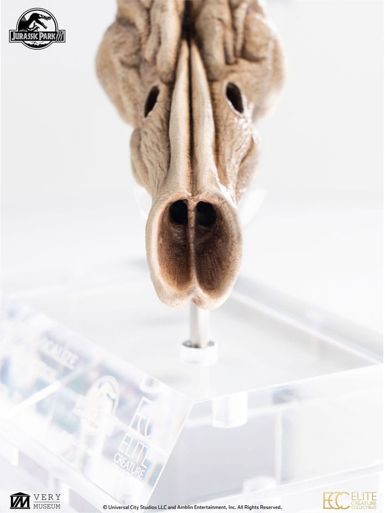 Jurassic Park III Prop Replik 1/1 Velociraptor Resonance Chamber 18 cm Image 12