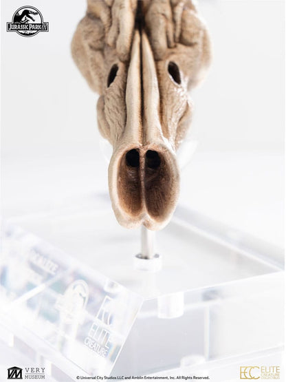 Jurassic Park III Prop Replik 1/1 Velociraptor Resonance Chamber 18 cm Image 12