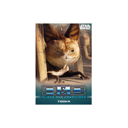 Star Wars: The Mandalorian Sammelkarten Starter Pack *Englische Version* Image 2