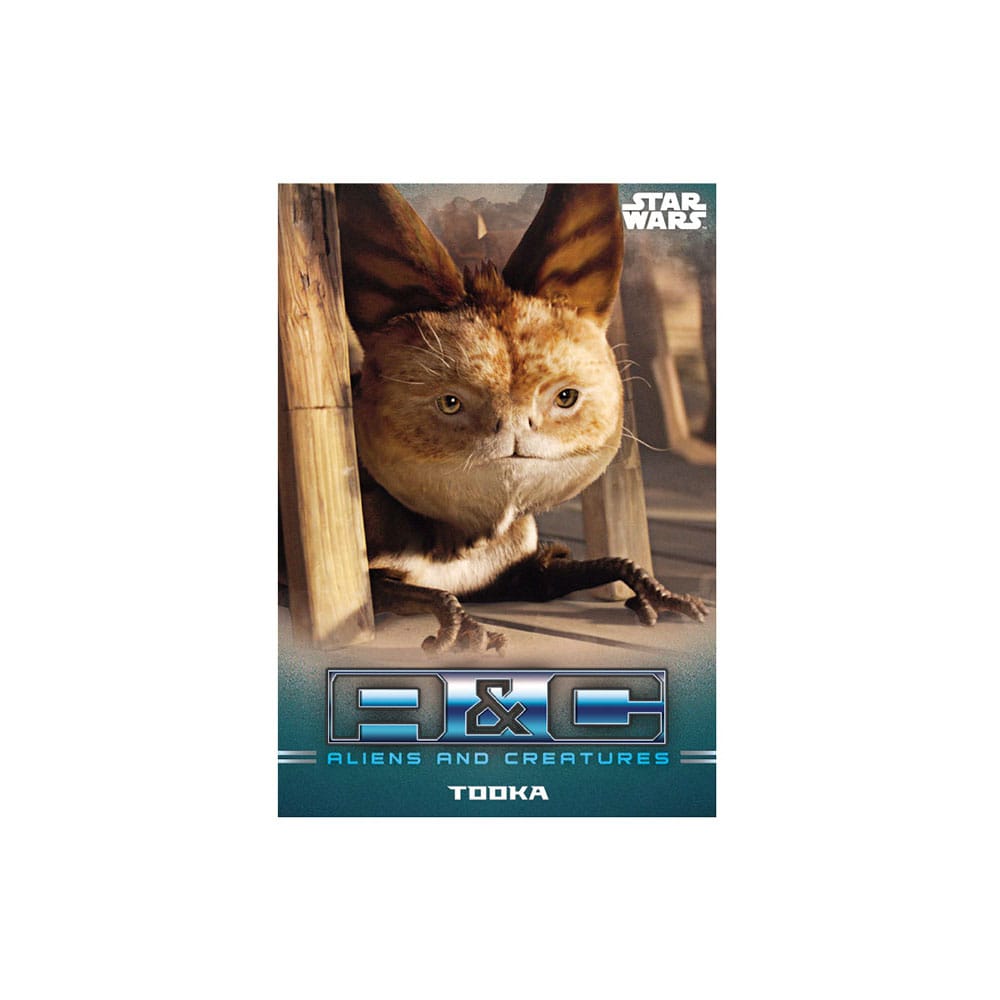 Star Wars: The Mandalorian Sammelkarten Starter Pack *Englische Version* Image 2