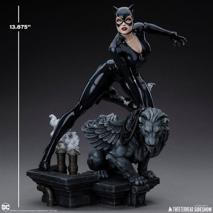 DC Comics Maquette 1/6 Catwoman 35 cm Image 11