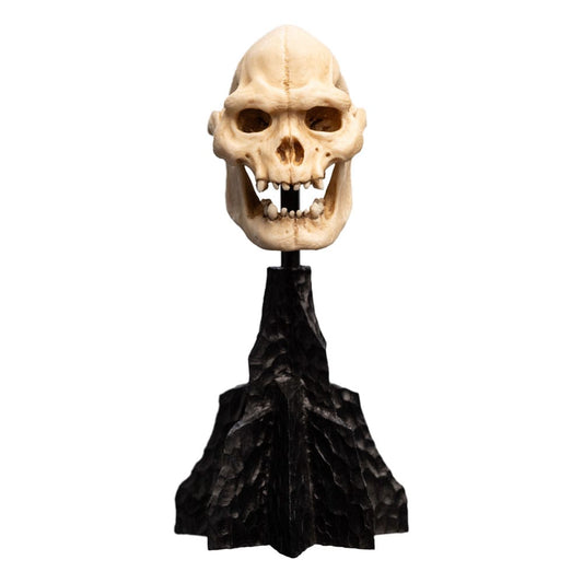 Herr der Ringe Mini Statue Skull of Lurtz 14 cm Image 1