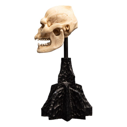 Herr der Ringe Mini Statue Skull of Lurtz 14 cm Image 10