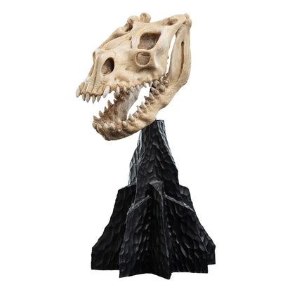 Herr der Ringe Mini Statue Skull of a Fell Beast 21 cm Image 11