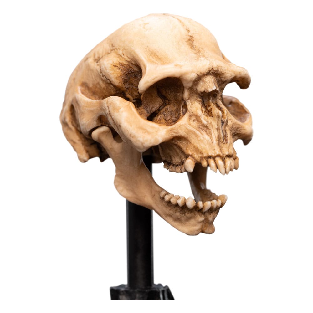Herr der Ringe Mini Statue Skull of a Moria Orc 13 cm Image 2