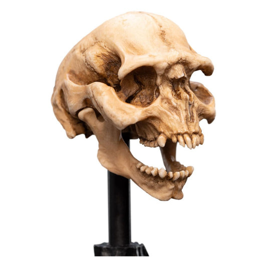 Herr der Ringe Mini Statue Skull of a Moria Orc 13 cm Image 2