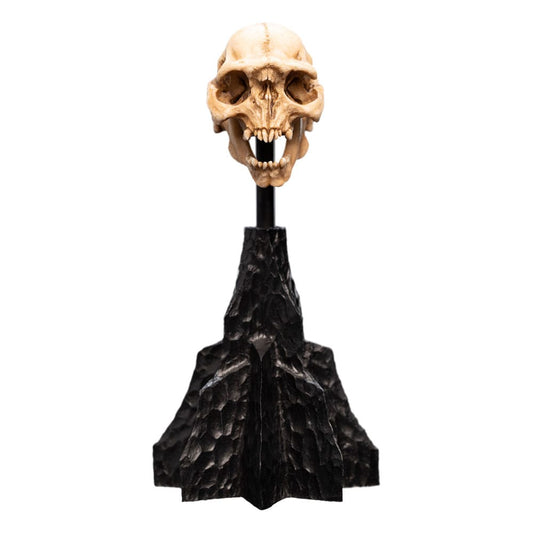Herr der Ringe Mini Statue Skull of a Moria Orc 13 cm Image 1