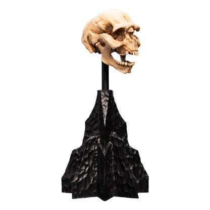 Herr der Ringe Mini Statue Skull of a Moria Orc 13 cm Image 5