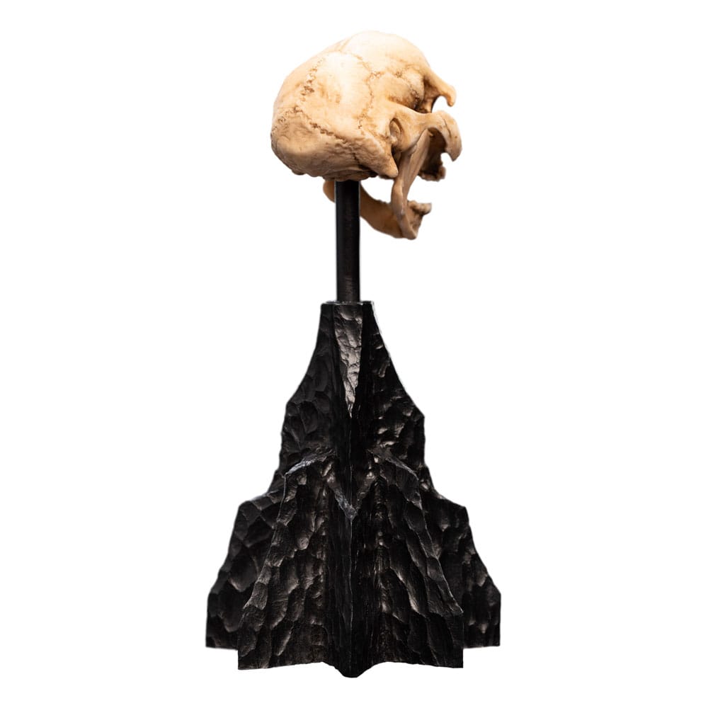 Herr der Ringe Mini Statue Skull of a Moria Orc 13 cm Image 7
