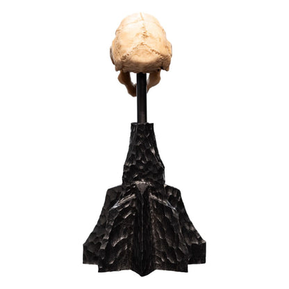 Herr der Ringe Mini Statue Skull of a Moria Orc 13 cm Image 8