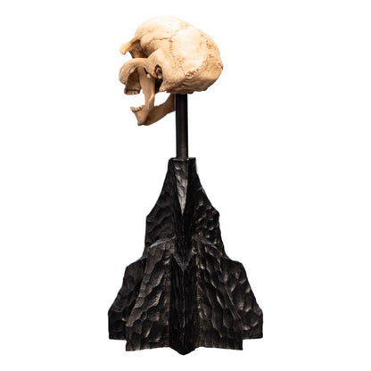 Herr der Ringe Mini Statue Skull of a Moria Orc 13 cm Image 9