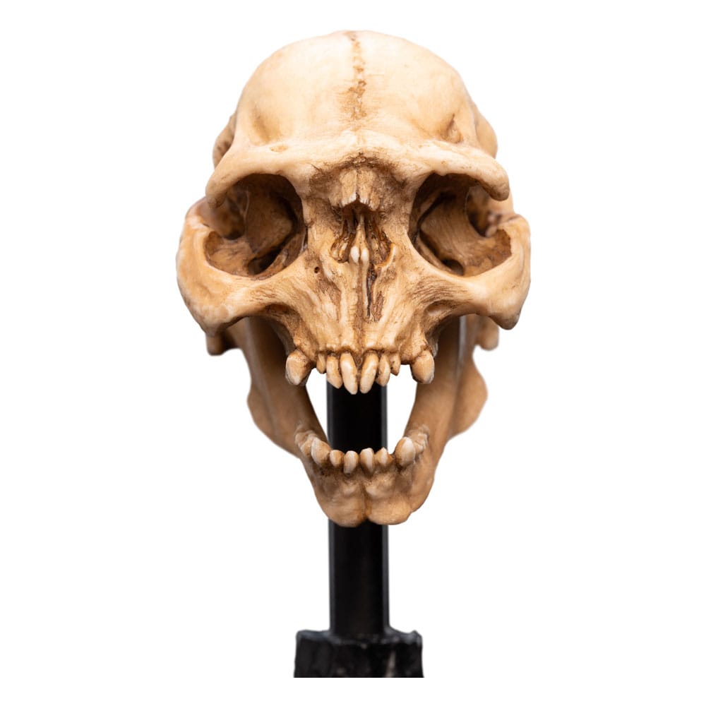 Herr der Ringe Mini Statue Skull of a Moria Orc 13 cm Image 12