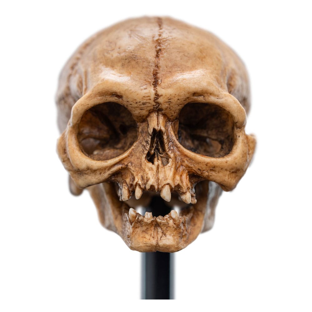 Herr der Ringe Mini Statue Skull of Gollum 13 cm Image 2