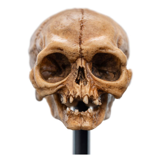 Herr der Ringe Mini Statue Skull of Gollum 13 cm Image 2