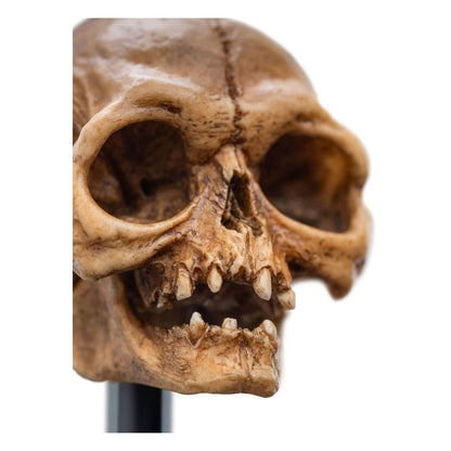 Herr der Ringe Mini Statue Skull of Gollum 13 cm Image 3