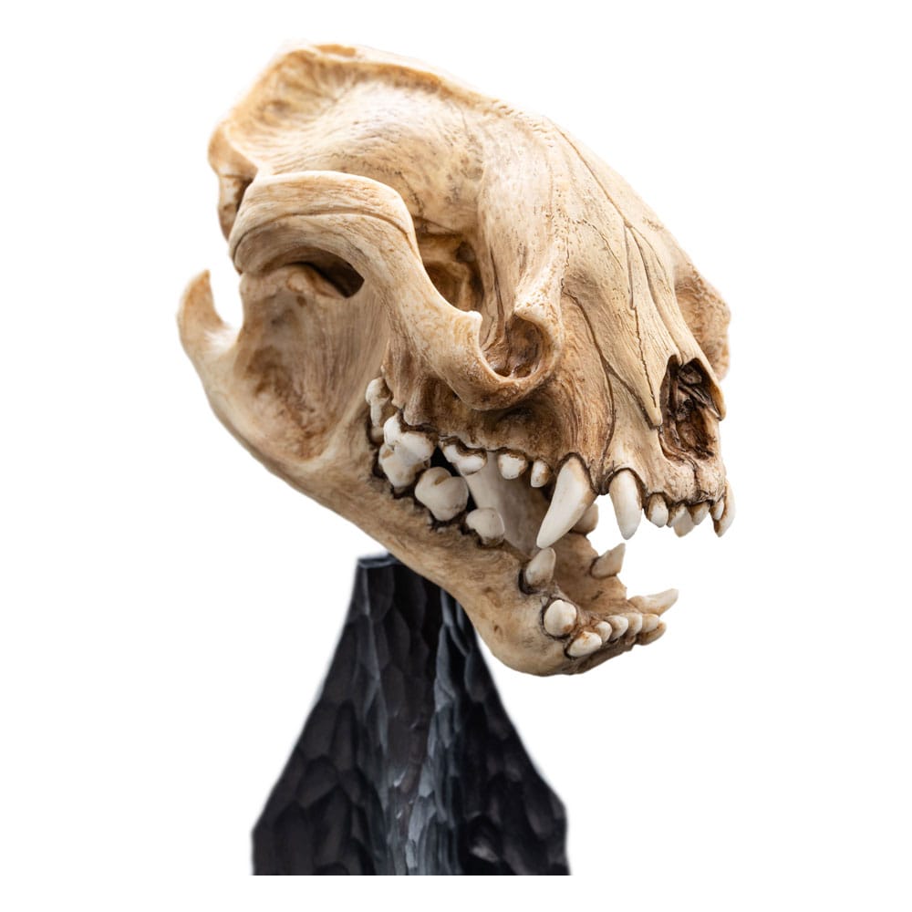 Herr der Ringe Mini Statue Skull of a Warg 20 cm Image 3