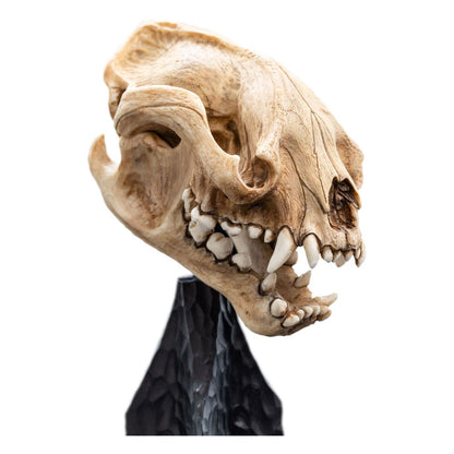 Herr der Ringe Mini Statue Skull of a Warg 20 cm Image 3