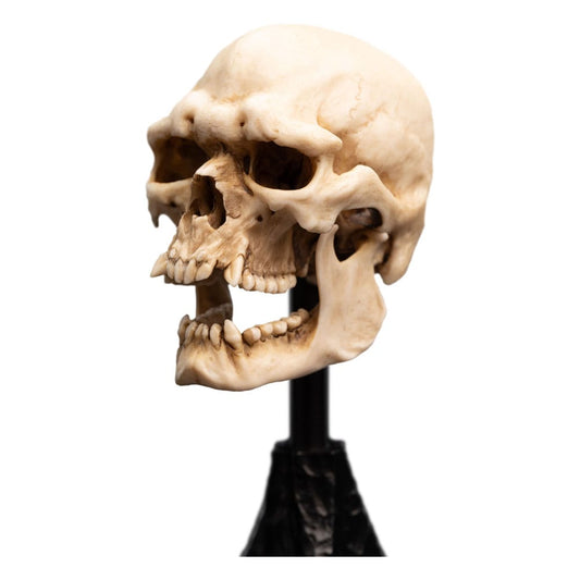 Herr der Ringe Mini Statue Skull of a Mordor Orc 14 cm Image 2