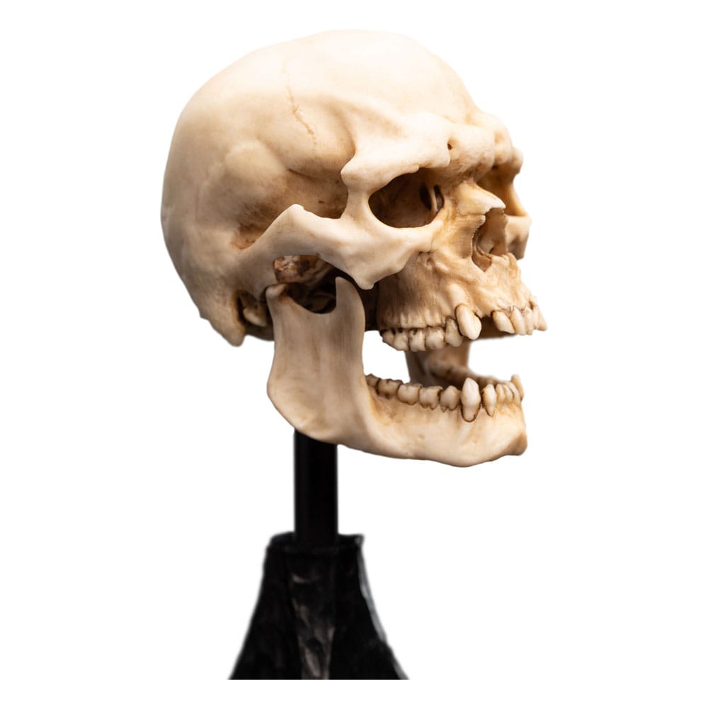 Herr der Ringe Mini Statue Skull of a Mordor Orc 14 cm Image 3