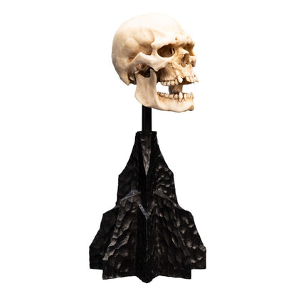 Herr der Ringe Mini Statue Skull of a Mordor Orc 14 cm Image 5