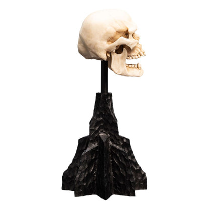 Herr der Ringe Mini Statue Skull of a Mordor Orc 14 cm Image 6