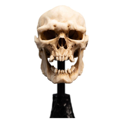 Herr der Ringe Mini Statue Skull of a Mordor Orc 14 cm Image 12