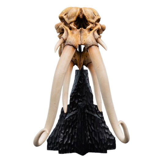 Herr der Ringe Mini Statue Skull of a Mumak 15 cm Image 1