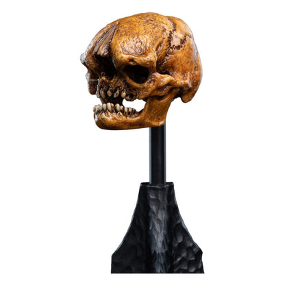 Herr der Ringe Mini Statue Skull of a Misty Mountain Goblin 14 cm Image 3