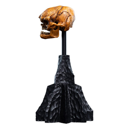 Herr der Ringe Mini Statue Skull of a Misty Mountain Goblin 14 cm Image 10