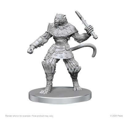 Pathfinder Deep Cuts Miniaturen unbemalt Elf Hunter & Catfolk Bandit Image 2
