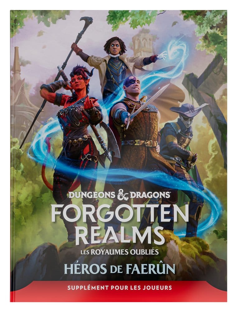 Dungeons & Dragons RPG Forgotten Realms: Héros de Faerun Spielerleitfaden *Französische Version* Image