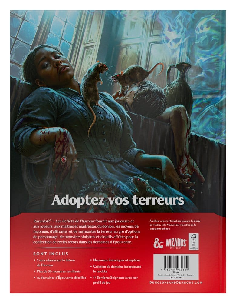 Dungeons & Dragons RPG Ravenloft: Les Reflets de l'Horreur Buch *Französische Version* Image 9