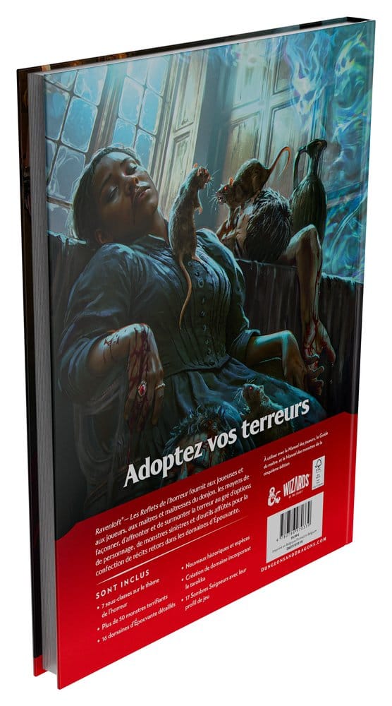 Dungeons & Dragons RPG Ravenloft: Les Reflets de l'Horreur Buch *Französische Version* Image 11